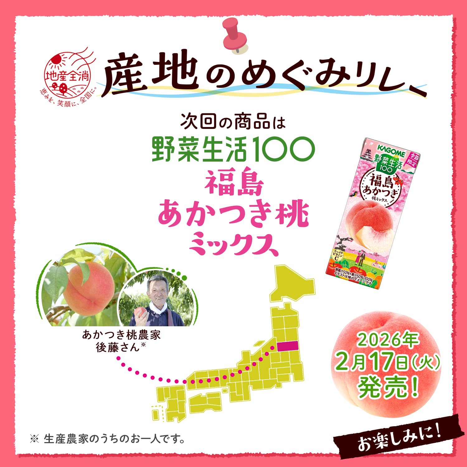 카고메 야채 생활 100 미야자키 츠키야 실 자몽 & 히나타 여름 믹스 195ml 종이 팩×24개(계절 한정품 설탕 미사용 비타민 C)
