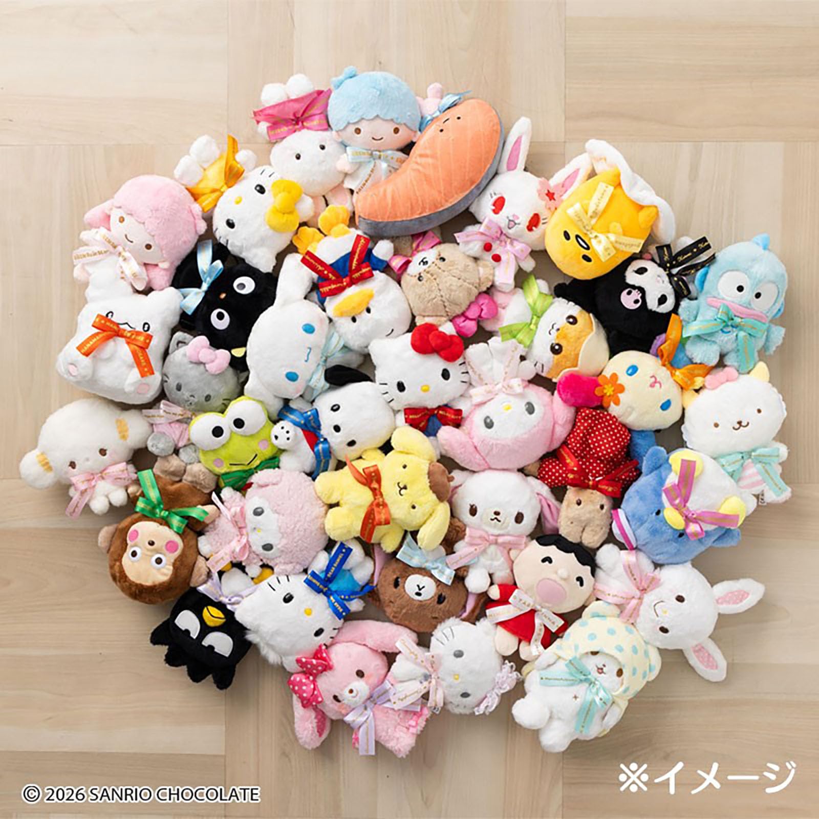 Sanrio Plush Toy (Character Award 2nd Logo Ribbon) Tiny Chum Ages 3 and up 749231