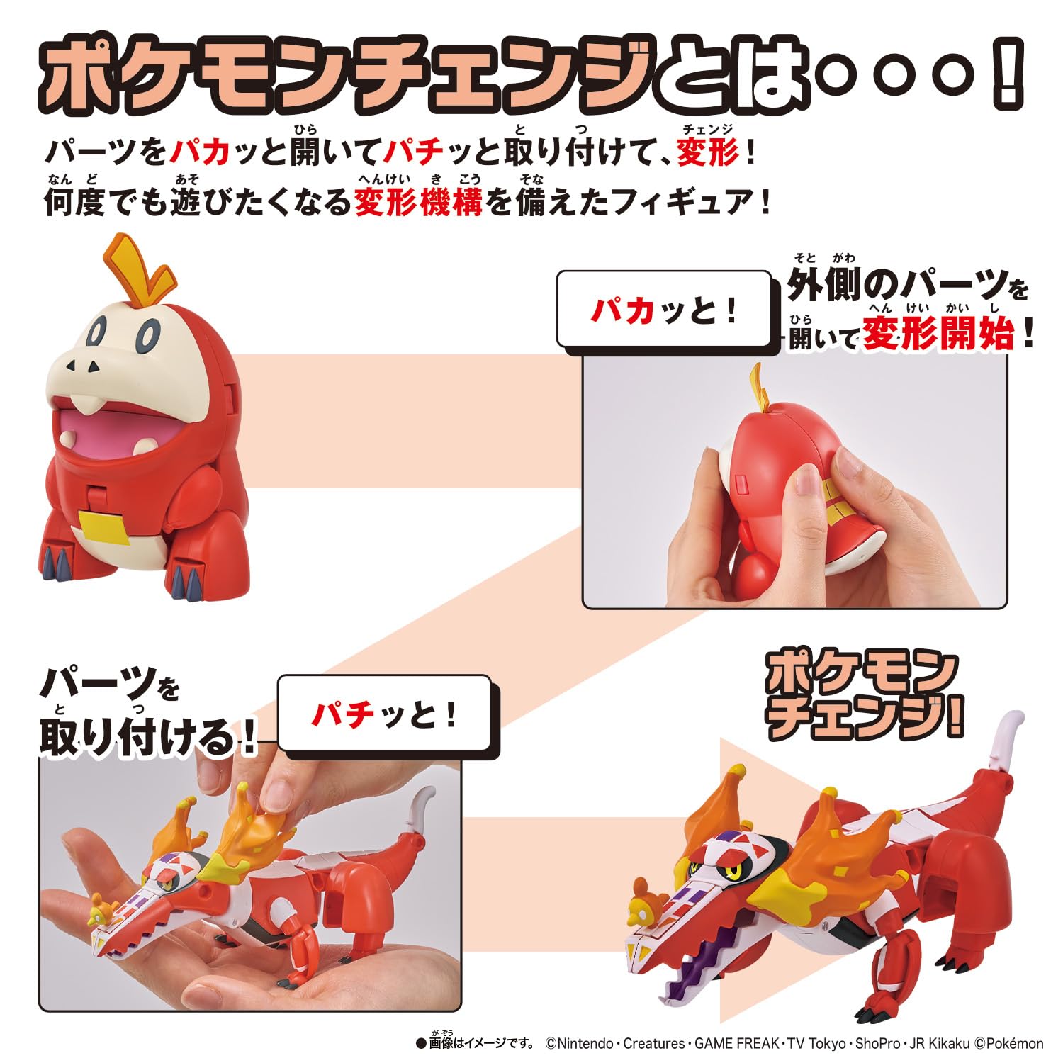 [BANDAI] Pokemon เปลี่ยน Hogeta/Loudbone