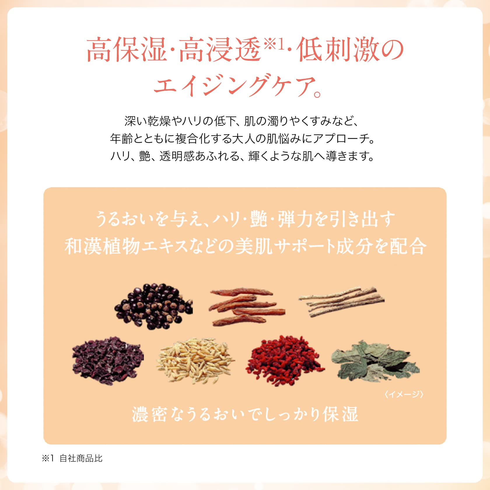 사토 제약 엑셀러라 더 로션 (MILD) 145mL 고보습 (마일드/촉촉/건조 피부/화장수)