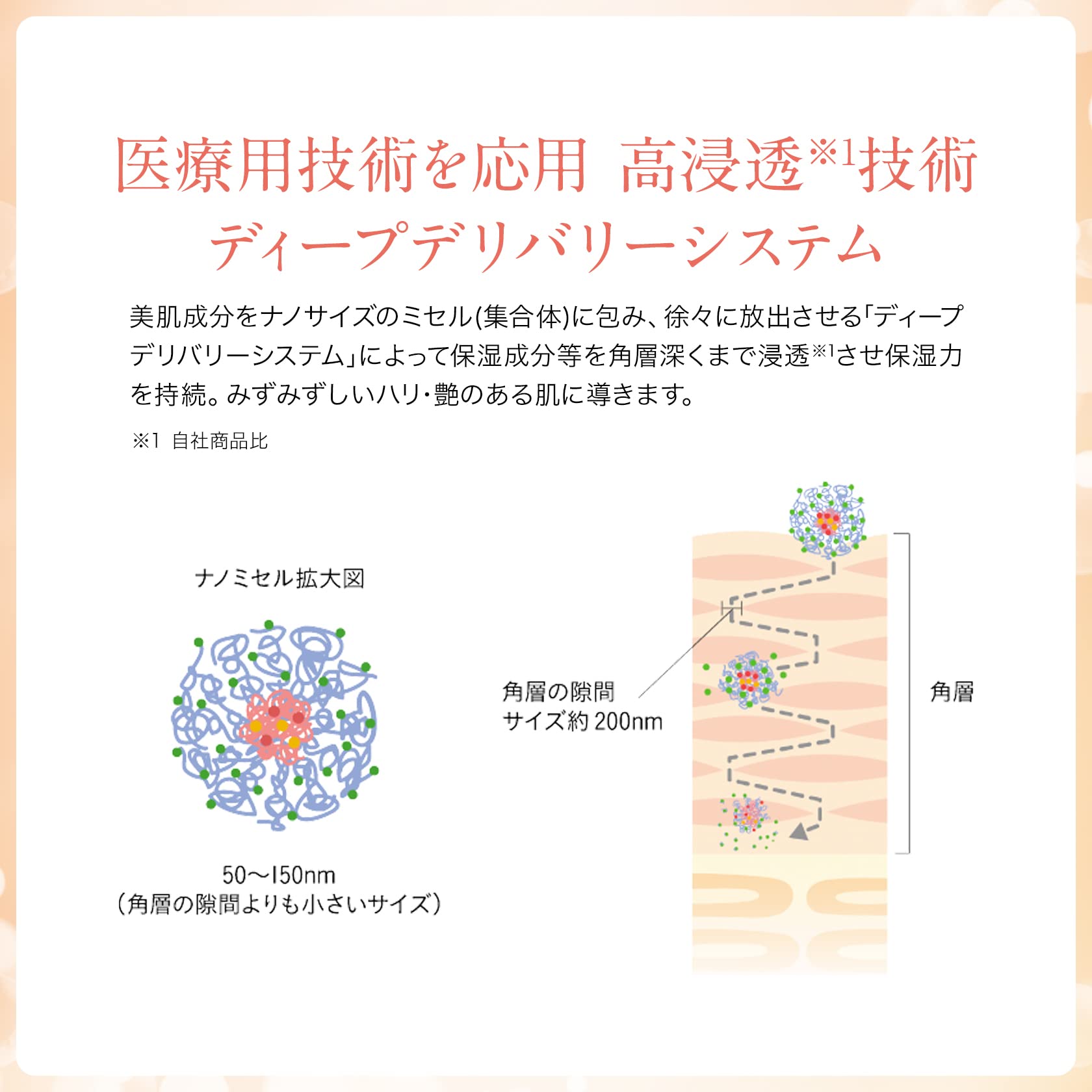 사토 제약 엑셀러라 더 로션 (MILD) 145mL 고보습 (마일드/촉촉/건조 피부/화장수)