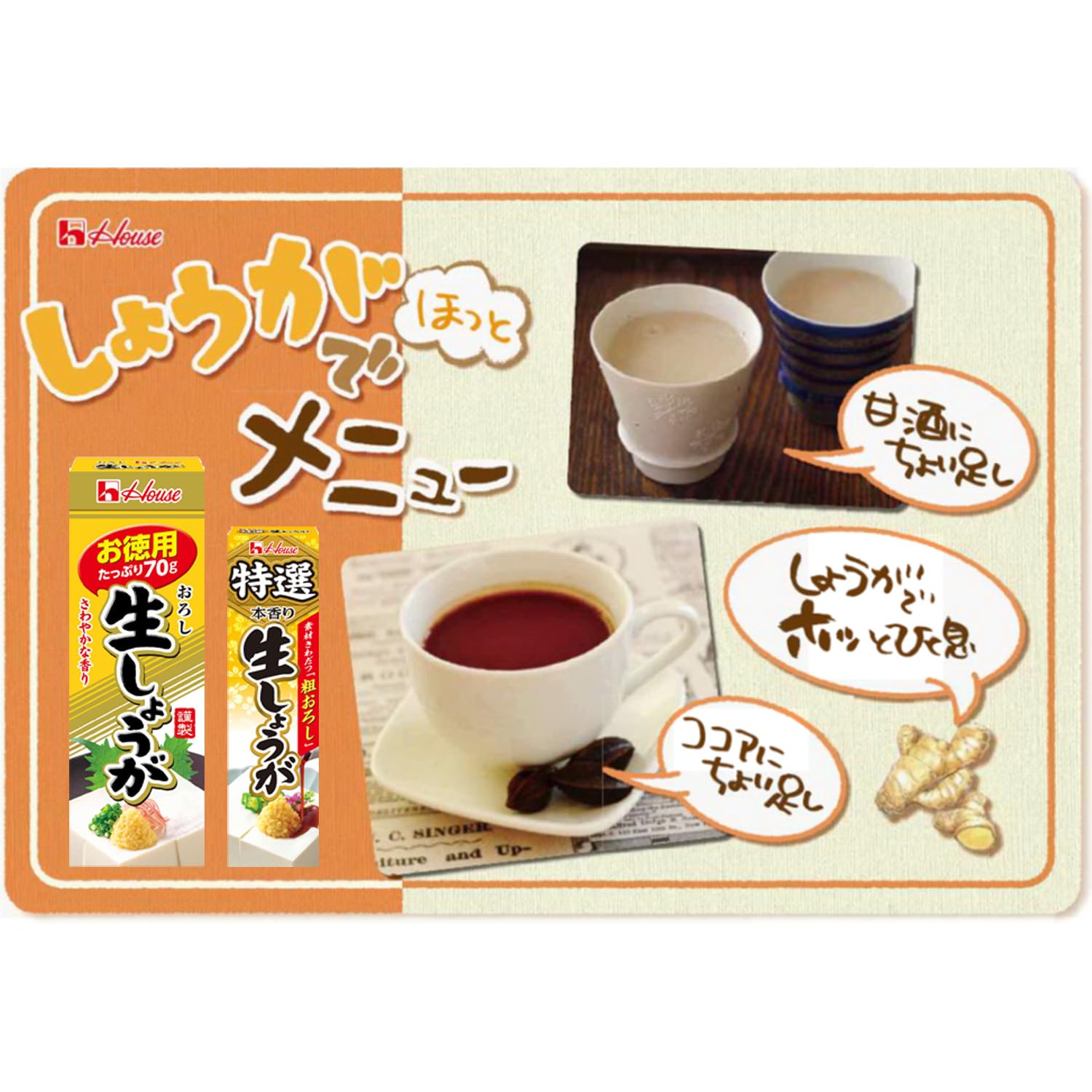 하우스 식품 특선생 생강 40g