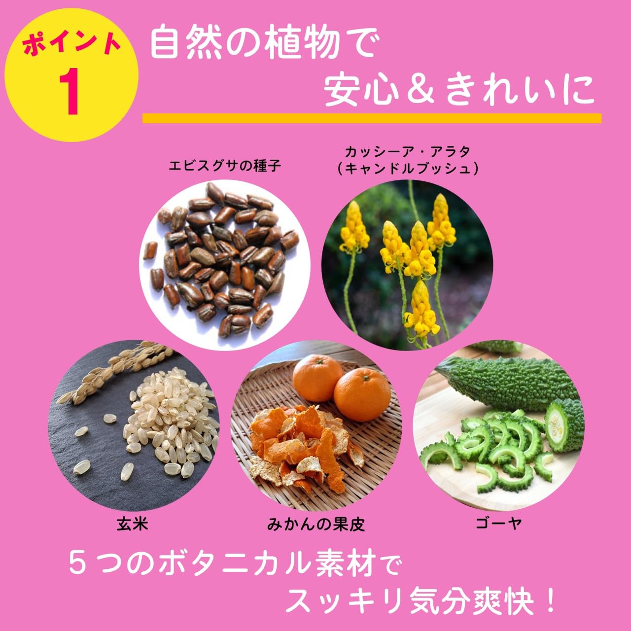 Showa Pharmaceutical Deruderu W 48 ซอง