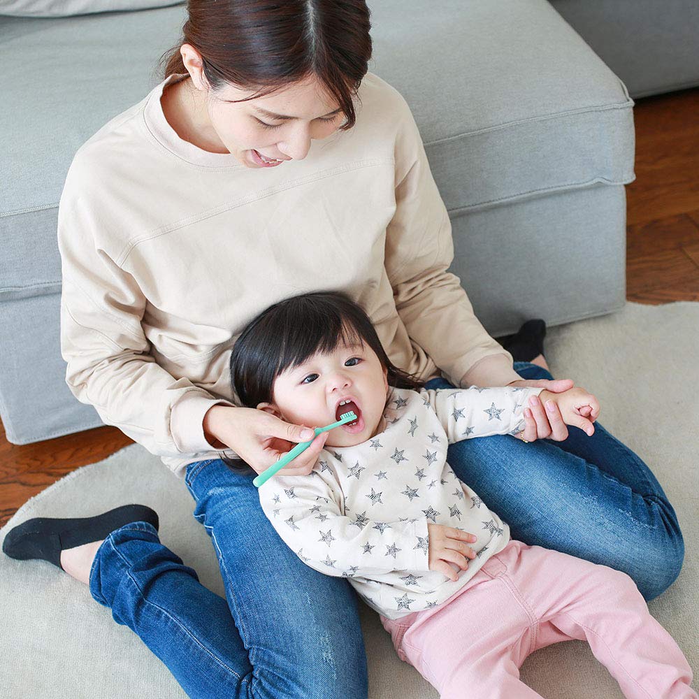 비둘기 유치 케어 마무리 전용