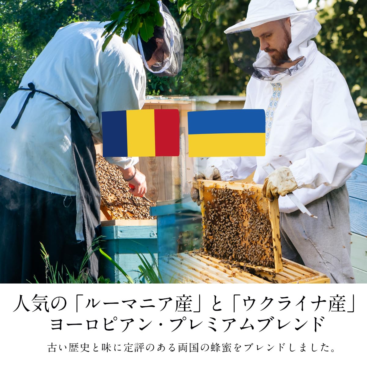 BeeWorks 유럽산 순수 꿀 꿀 500g 0.5kg 100% 순수 꿀 허니 루마니아산 우크라이나산