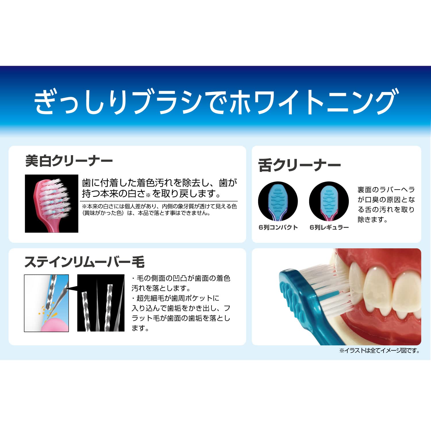 Ebisu Premium Care Răng Trắng/6 hàng Nhỏ gọn Bình thường