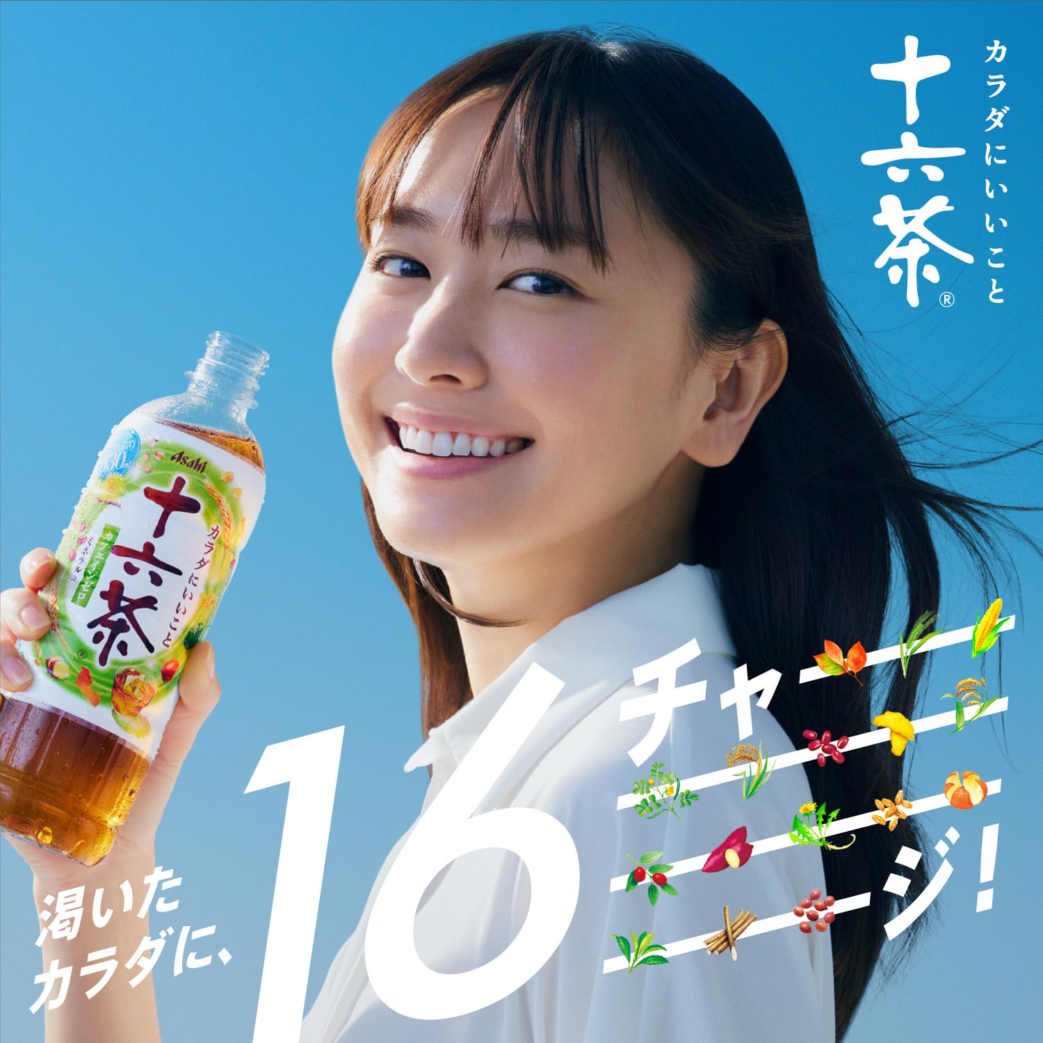 Asahi Beverages Jurokucha 275ml x 24 bottles [Tea] [Caffeine-free]