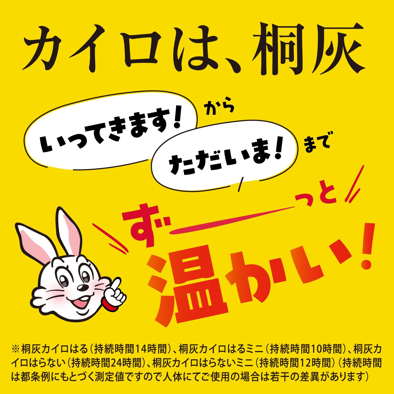 桐灰カイロ はる ミニ 10個入