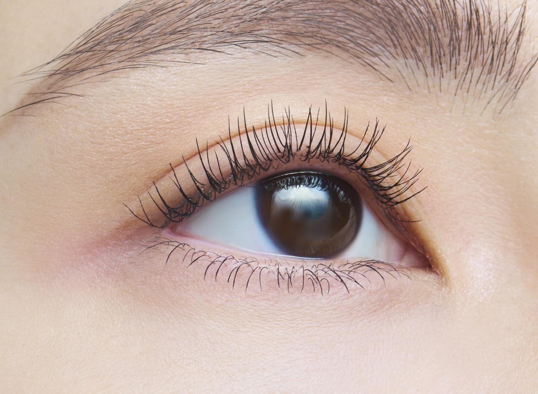 dejavu Dejavu Paintable False Eyelashes Upward Type Keep Style 1 Black Mascara Film Type