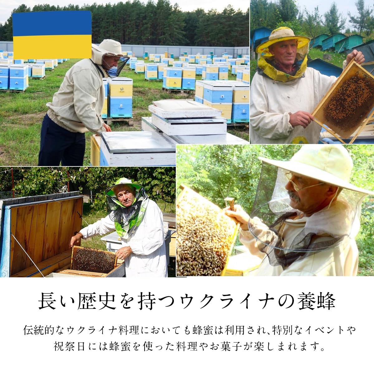 BeeWorks 유럽산 순수 꿀 꿀 500g 0.5kg 100% 순수 꿀 허니 루마니아산 우크라이나산