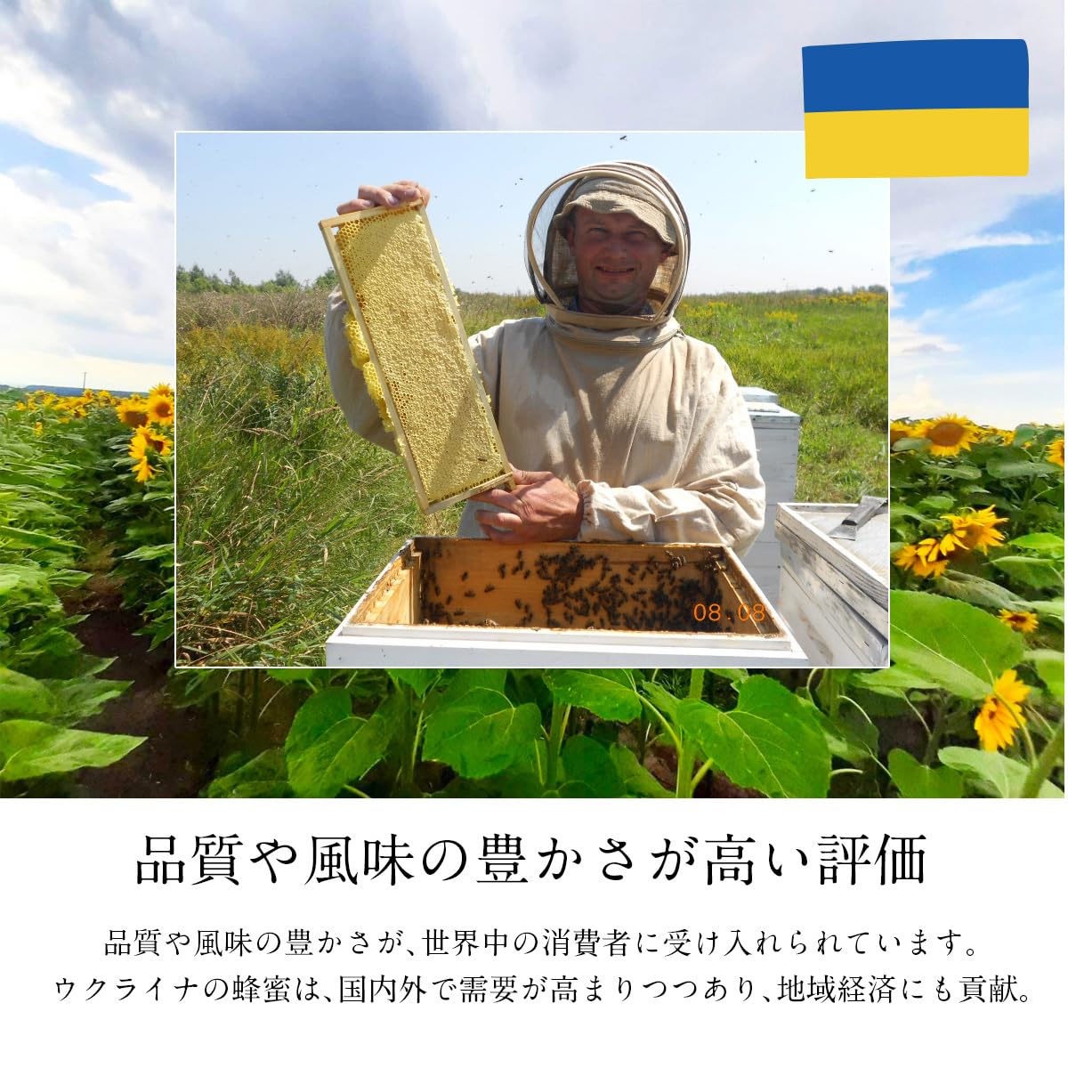 BeeWorks 유럽산 순수 꿀 꿀 500g 0.5kg 100% 순수 꿀 허니 루마니아산 우크라이나산