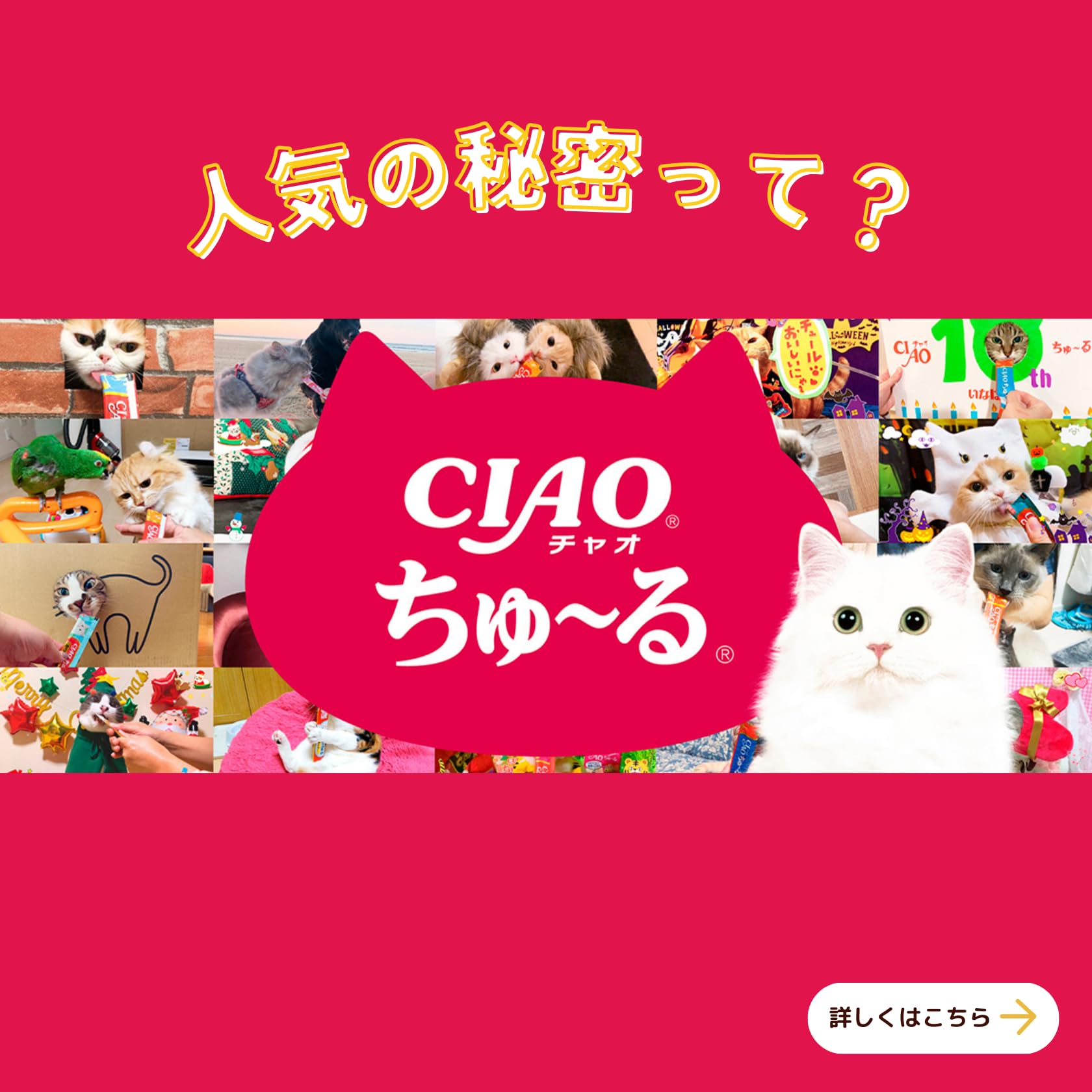 CIAO Churu Tuna/bonito variety 14g x 40 cat treats