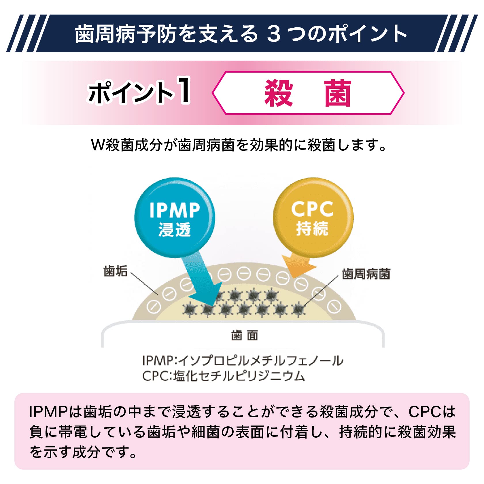 佐藤製薬 重曹 ハミガキ粉90g