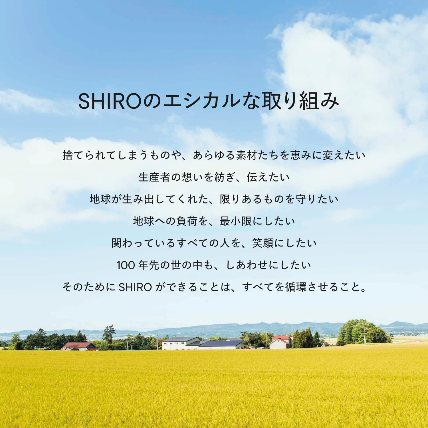 SHIRO 酒糟面霜 45g