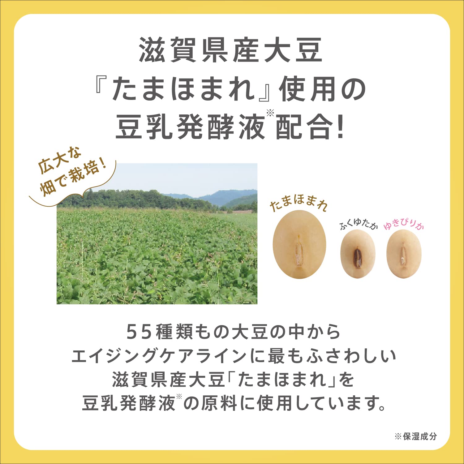 매끄러운 본점 링클 젤 크림 N 올인원 본체 두유 이소 플라본 100g