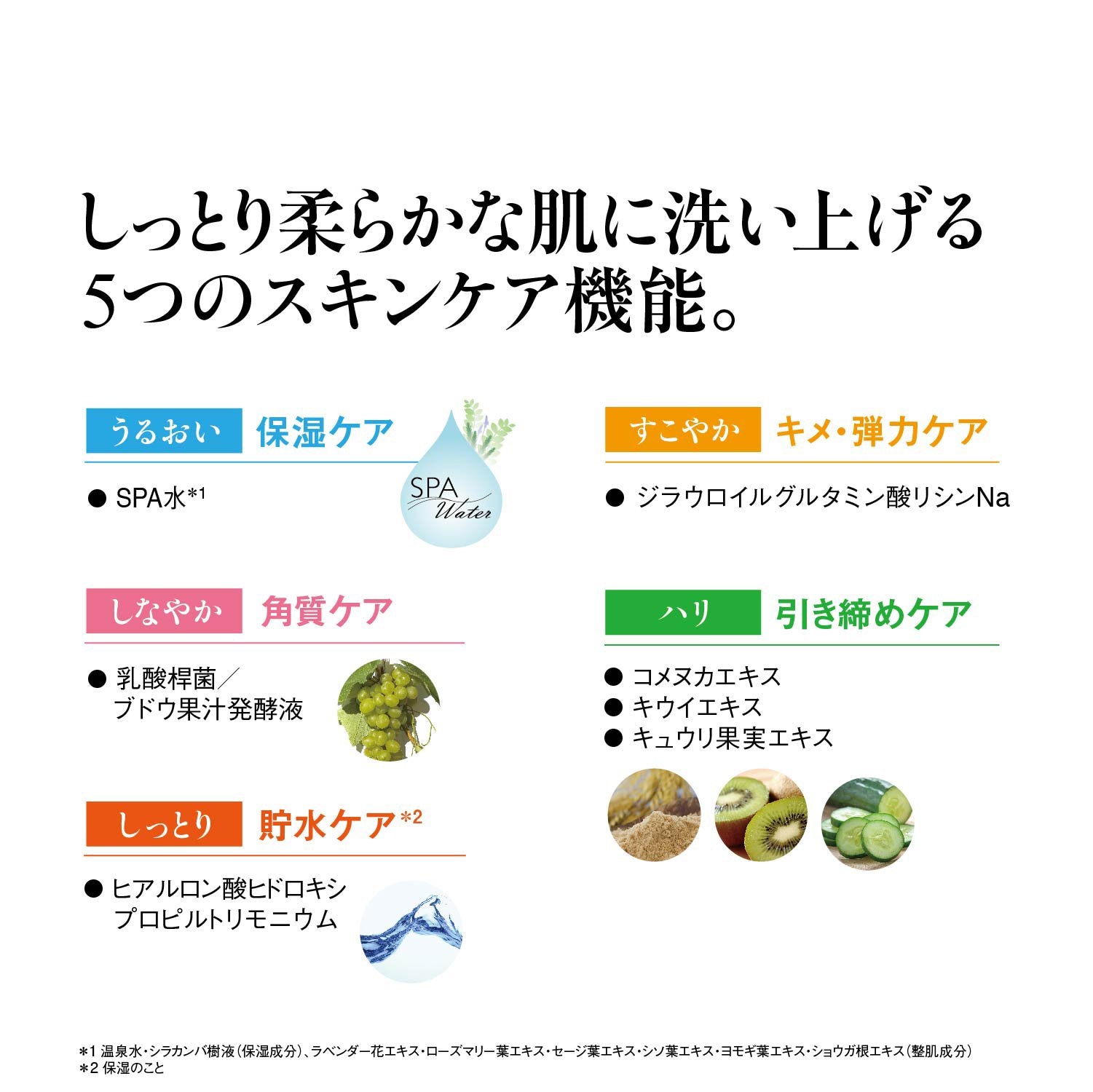 江原道泡沫洗面奶