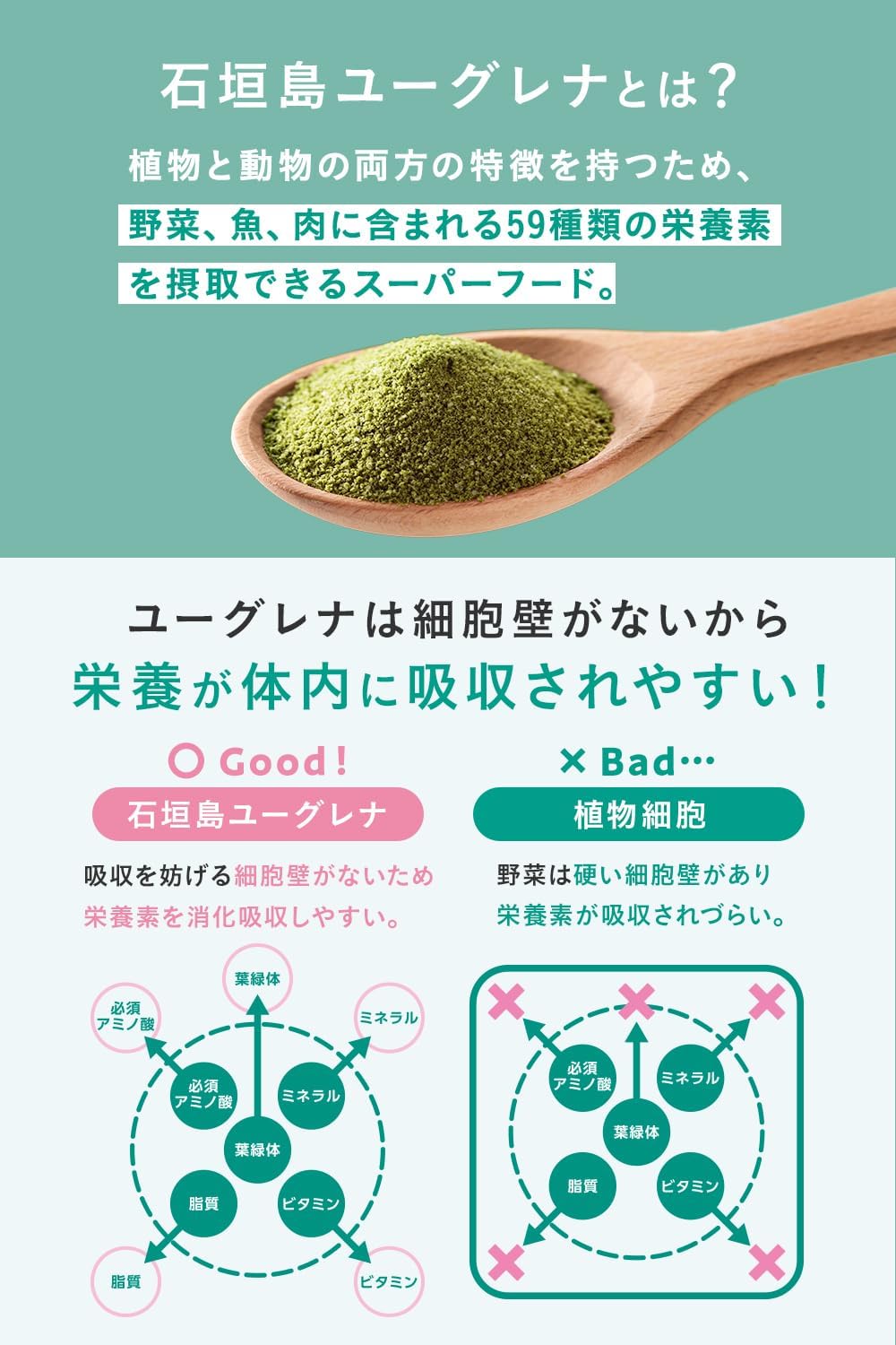 몸에 유글레나 요리에 넣는 유글레나 약 20 식분 개 포장 타입 국산 무첨가이고 맛 DHA EPA 철분 통째로