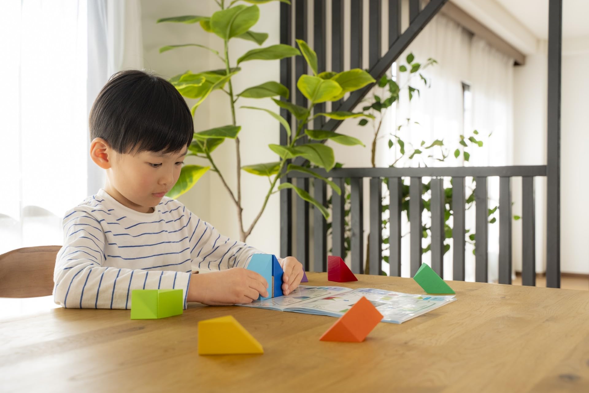 KUMON PUBLISHING 3D Tangram Educational Toy Examination Arithmetic 3D Passle ST Acquisition RT-10 KUMON TOY from 5 years old