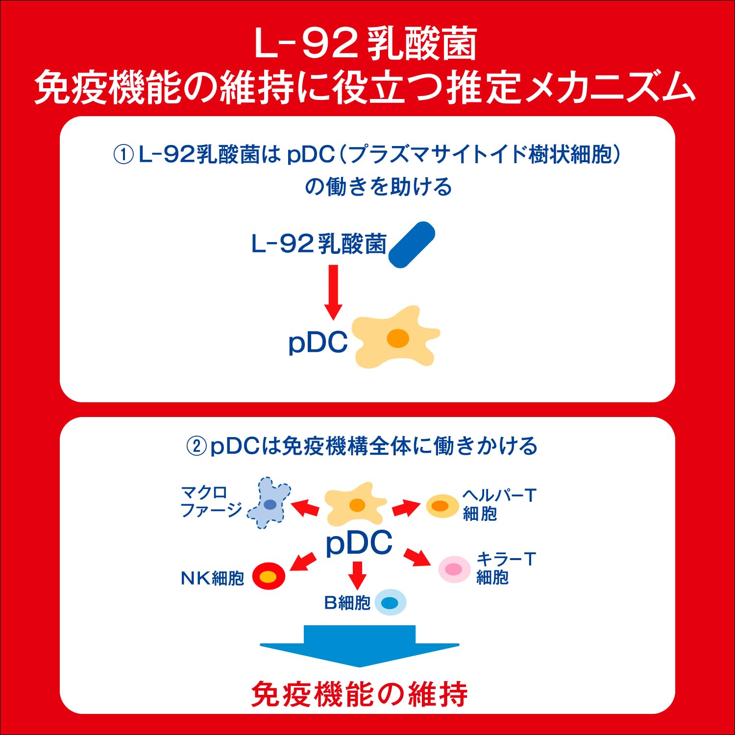 칼피스 유래의 유산균 과학 아사히 음료 PLUS 칼피스 면역 서포트 200ml×24개 [기능성 표시 식품] [건강한 사람의 면역 기능의 유지에 도움이 된다] [먼지·하우스 더스트 등에 의한 코의 불쾌감을 경감한다]