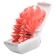 Mikuni Humidifier Okudake Eco Humidifier Chokotto Oasis Plus C Coral Pink U510-05