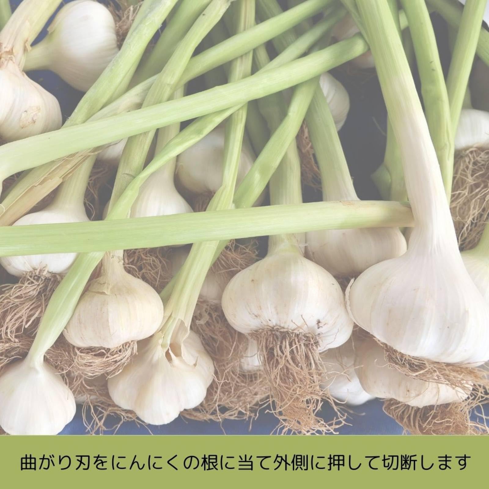 Yoshioka Knives Manufacturing Garlic Knife No.801 Large/Pressed 53mm