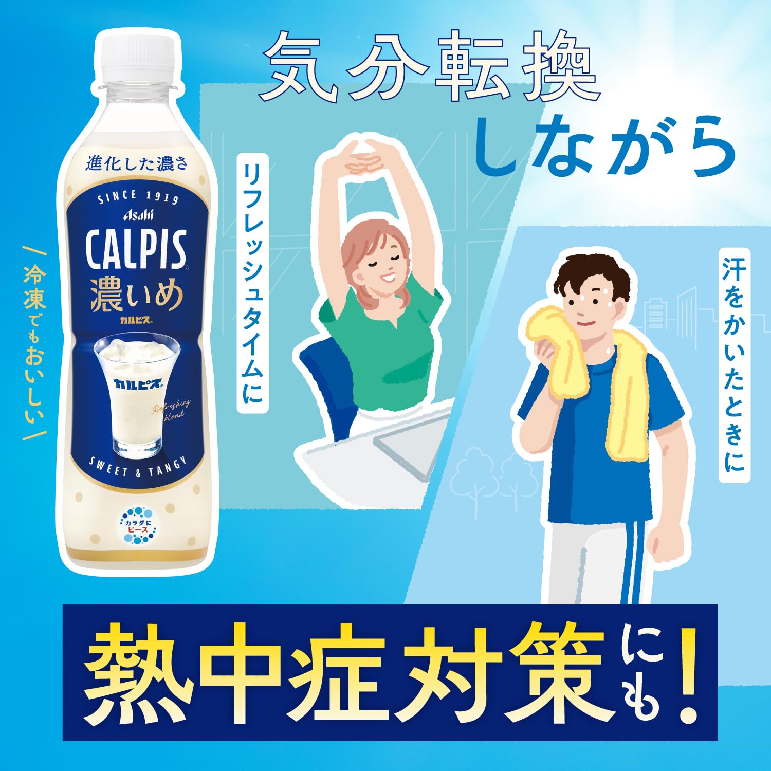 Calpis CALPIS Dark 490ml x 24 bottles [Calpis] [Lactic Acid Bacteria] [Asahi Beverages]