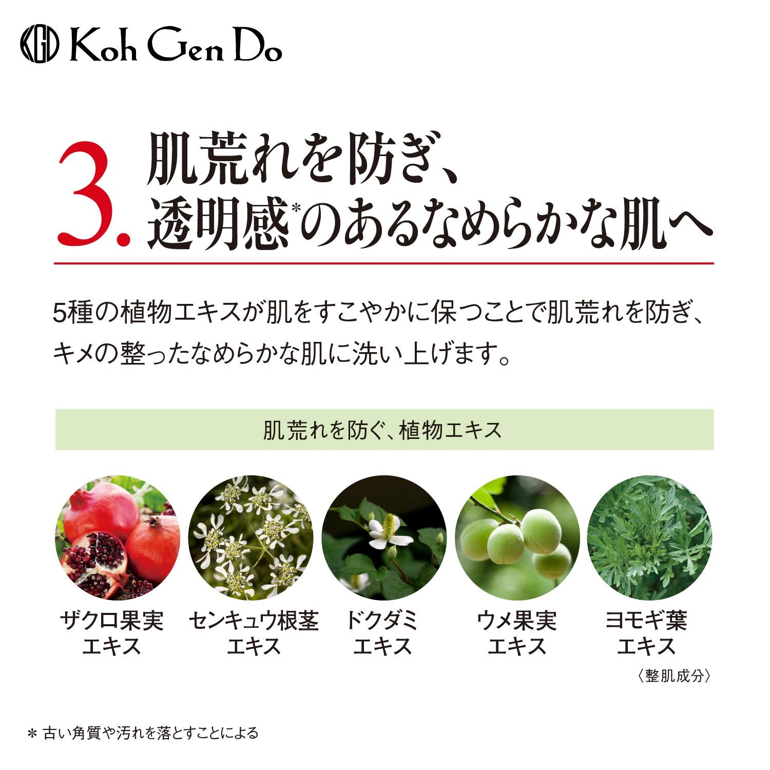 Koh Gen Do Gangwon Oriental Plants Facial Wash Face Wash 80g