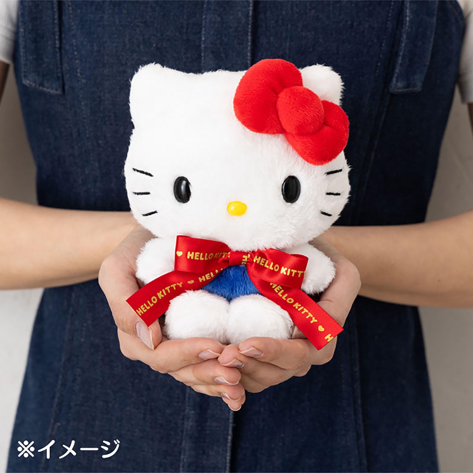 Sanrio Plush Toy (Character Award 2nd Logo Ribbon) Tiny Chum Ages 3 and up 749231