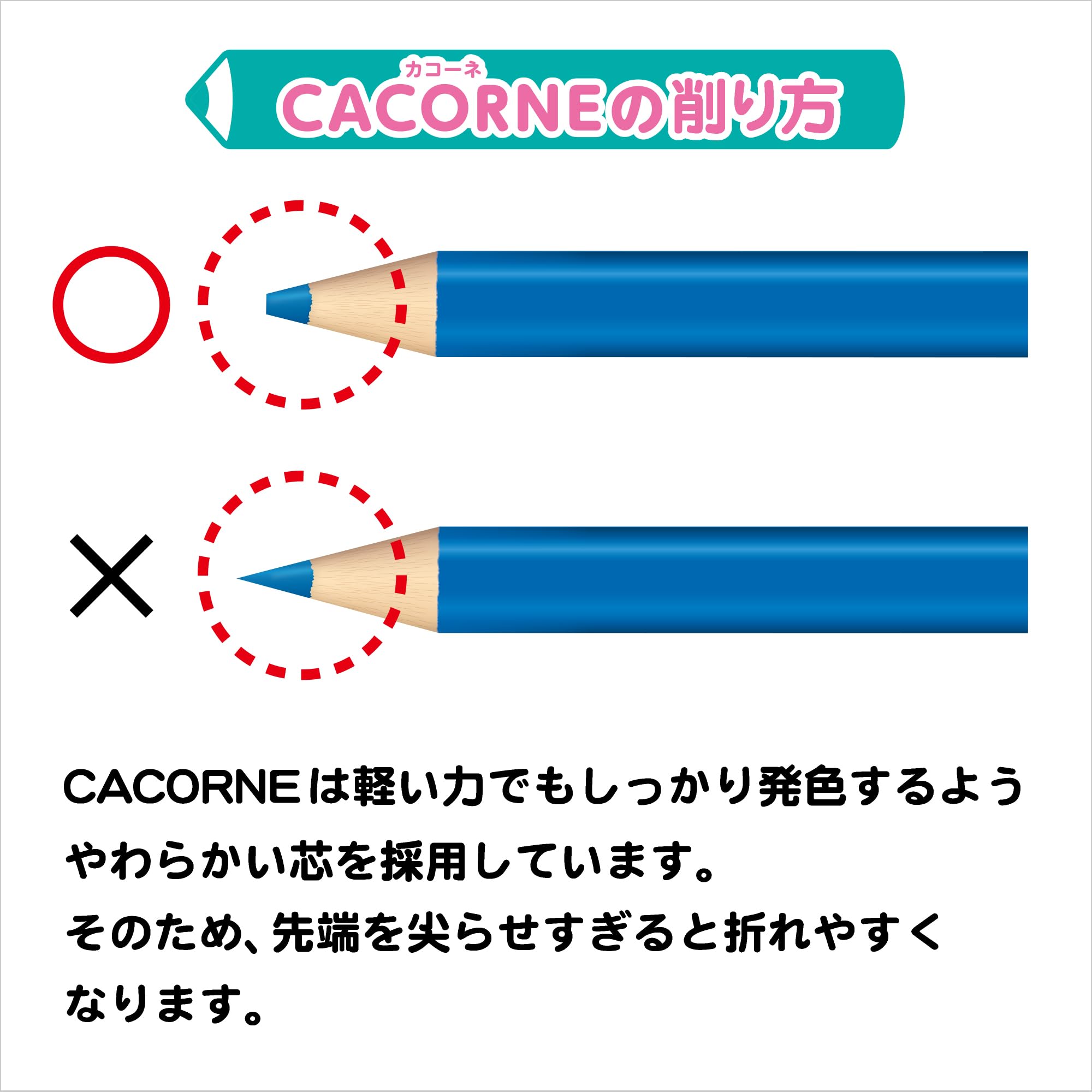 파일럿 카코네 (CACORNE) 색연필 12색 (크레용처럼 진하게 그릴 수 있는 색연필) 3세 이상 지육