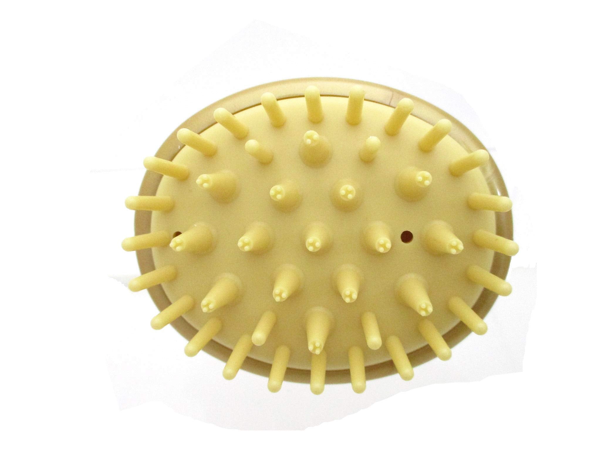 Camellia oil shampoo-brush