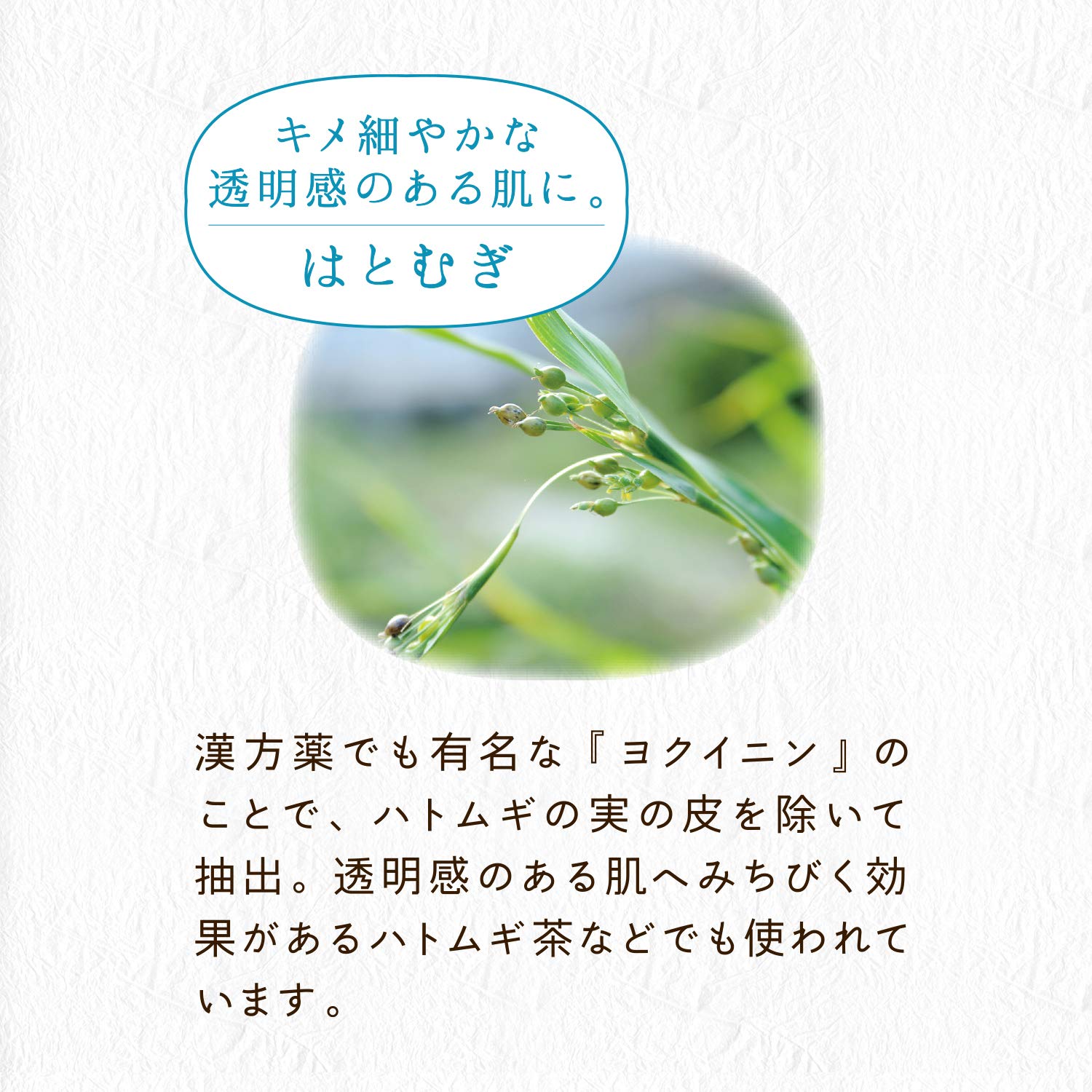 KOSE Clear Turn Beautiful Skin Artisan Hatomugi Mask 7 Pieces Face Mask