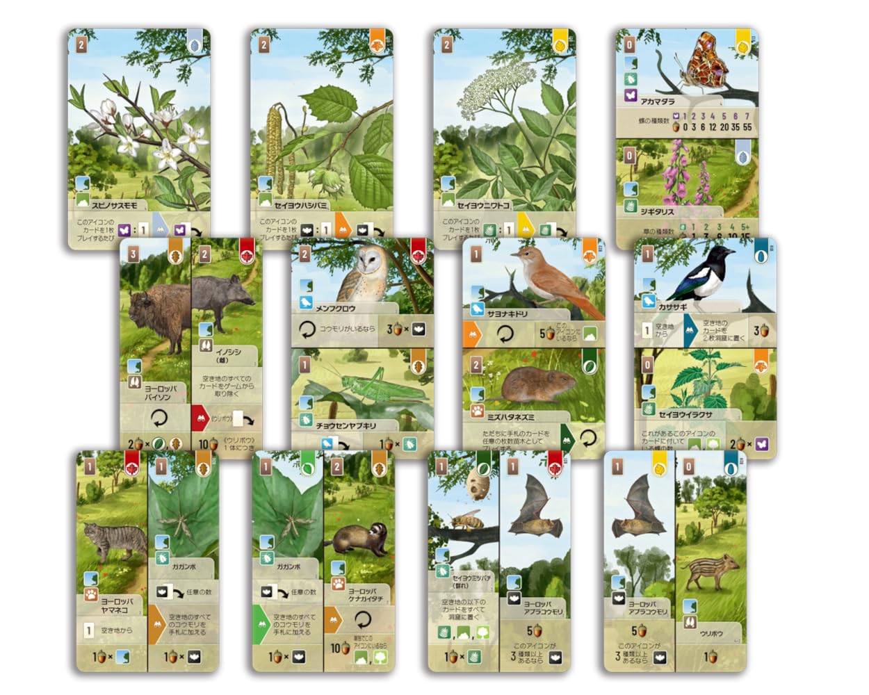 HobbyJAPAN Forest Shuffle: Hayashien Japanese Version (2-5 players, 60 minutes, for ages 10 and up) Board Game Expansion Set