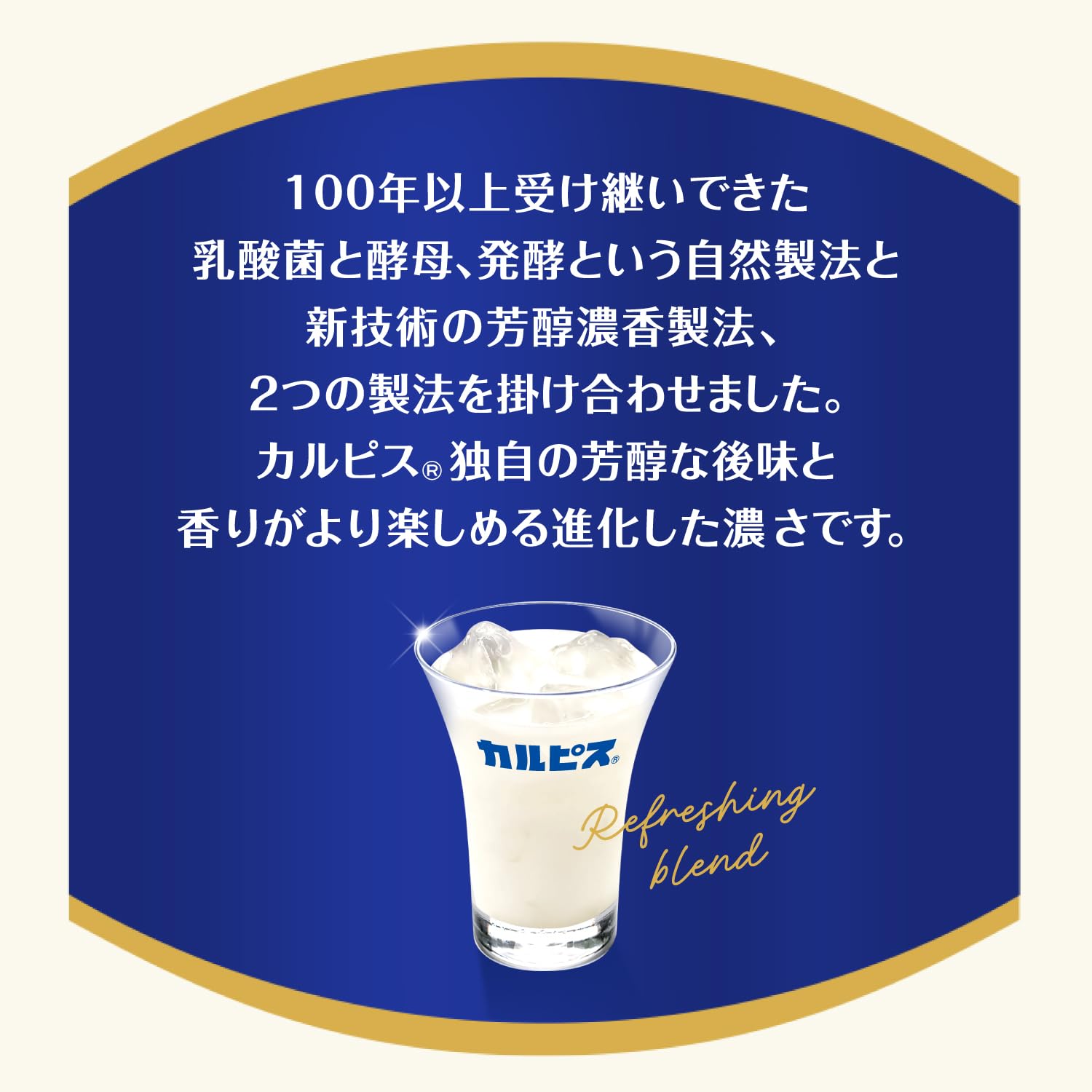 Calpis CALPIS Dark 490ml x 24 bottles [Calpis] [Lactic Acid Bacteria] [Asahi Beverages]