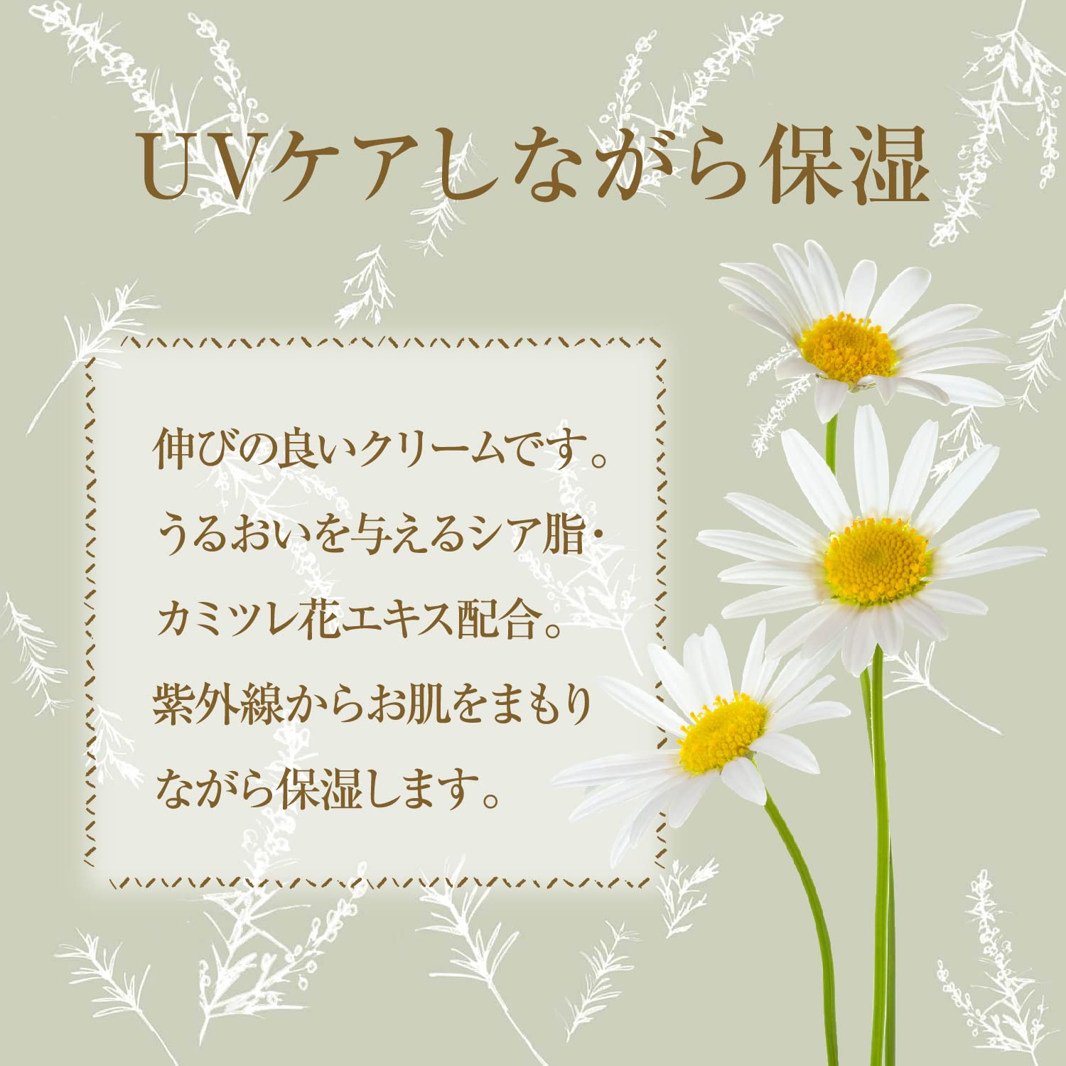 PAX NATURON(팩스 내츄론) UV크림 화장 기초 선스크린 (SPF30 PA++ / 45g) 100%자연 유래 성분 자외선 보습