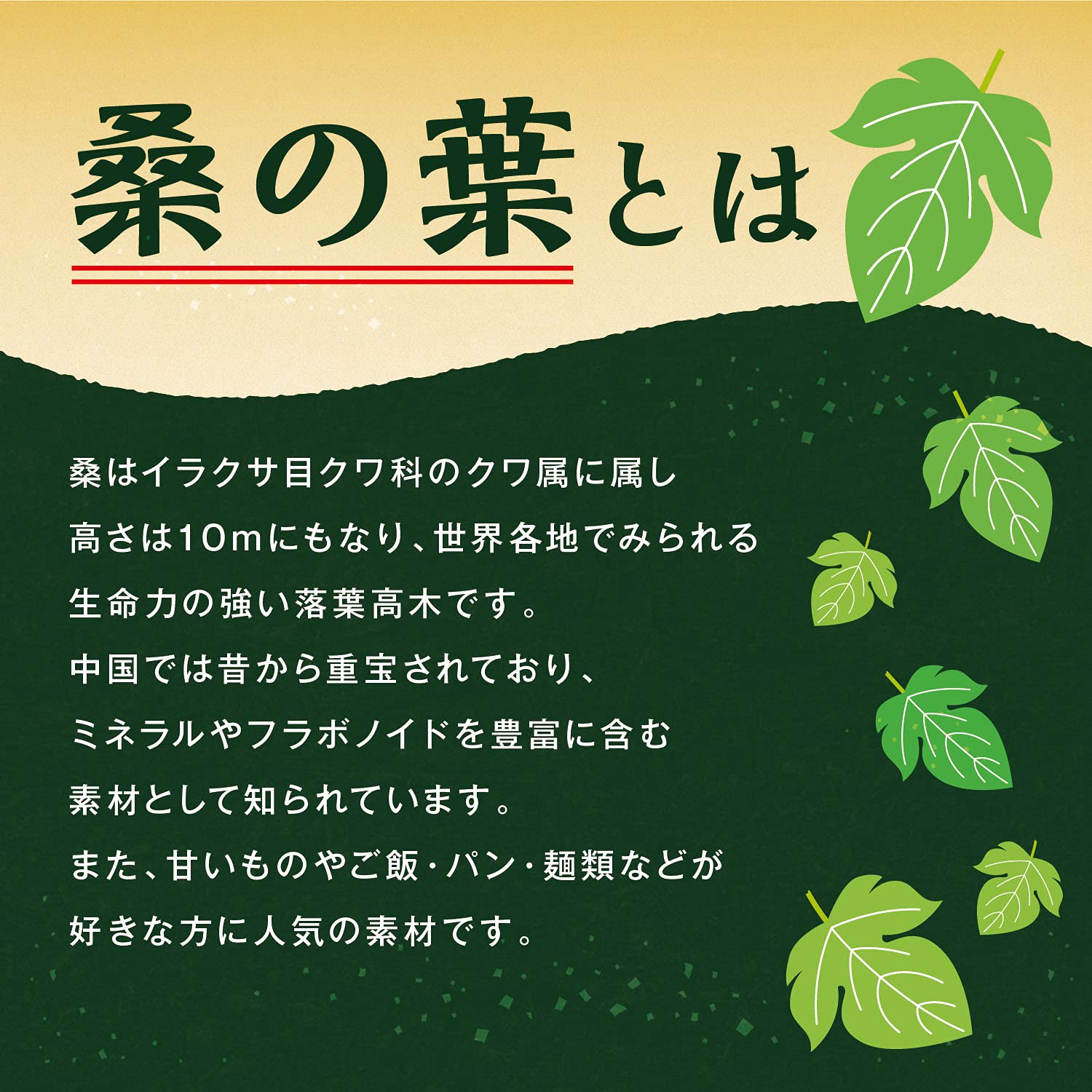 ORIHIRO国产桑叶茶2g×26袋