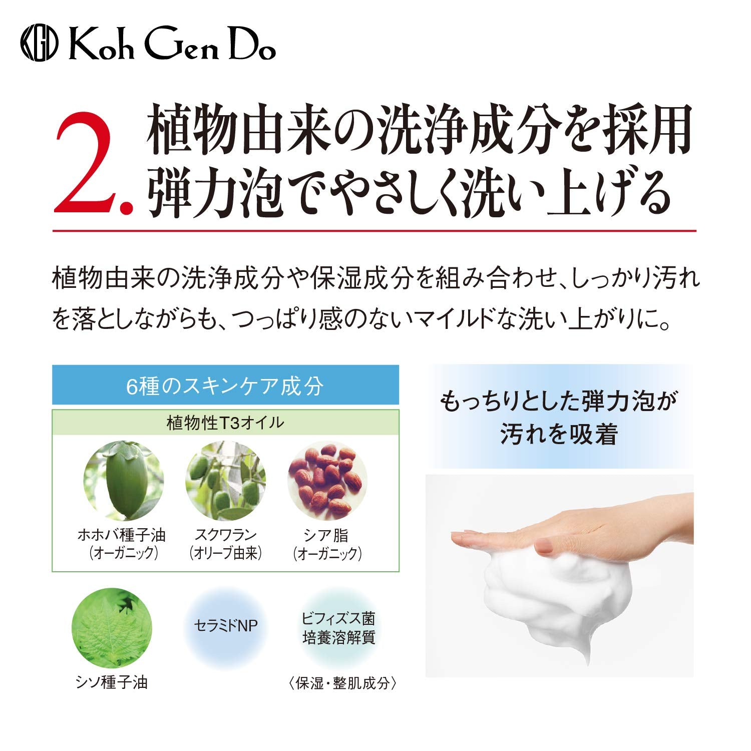 Koh Gen Do Gangwon Oriental Plants Facial Wash Face Wash 80g