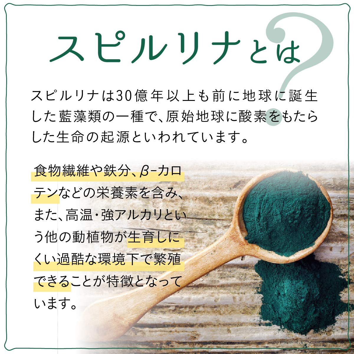 파인(FINE JAPAN) 파인 슈퍼푸드 스피루리나＆유산균×효소 β-카로틴 1,000μg 유산균 50억개 45종류의 식물 효소 배합 30일분