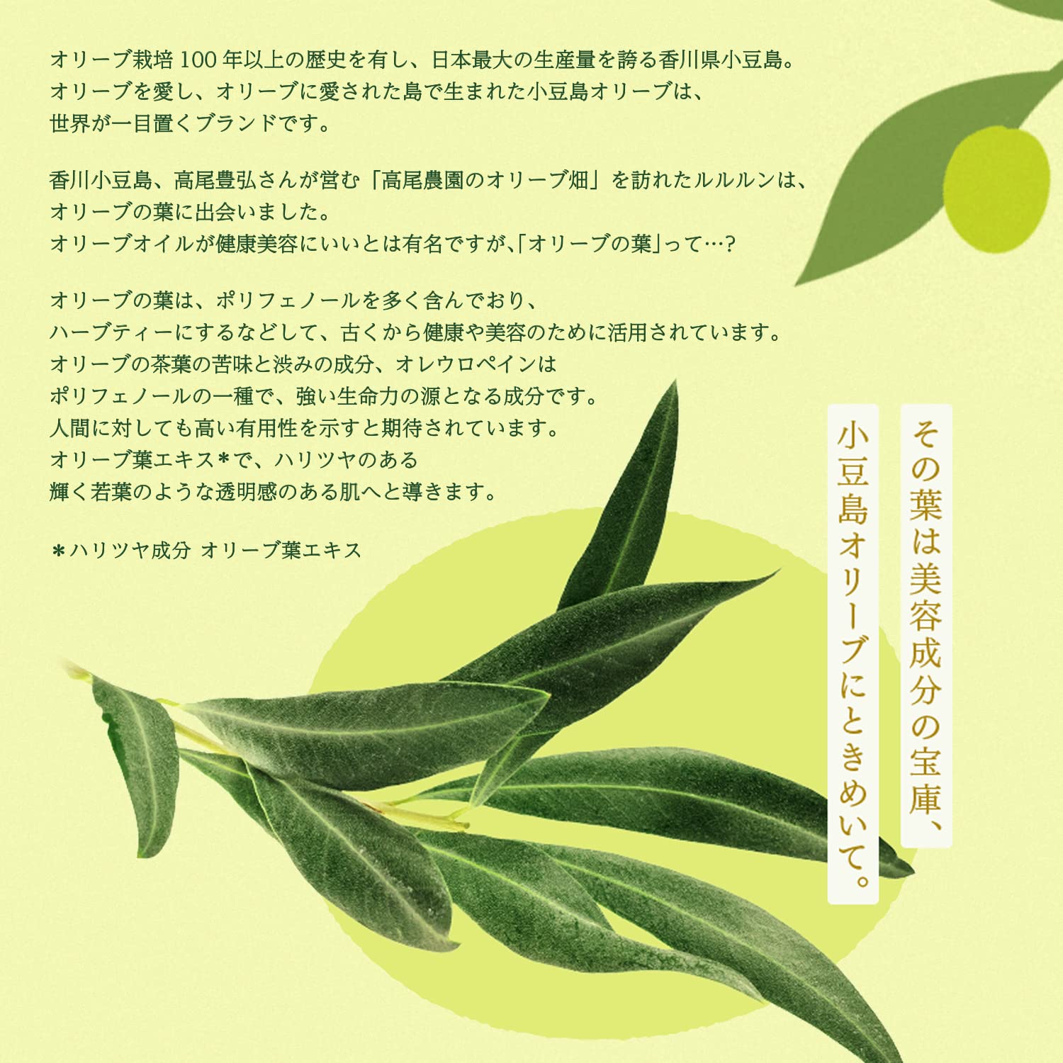 Face Mask Pack Lululun Shodoshima Premium Lululun (olive mask) 1 piece x 5 bags