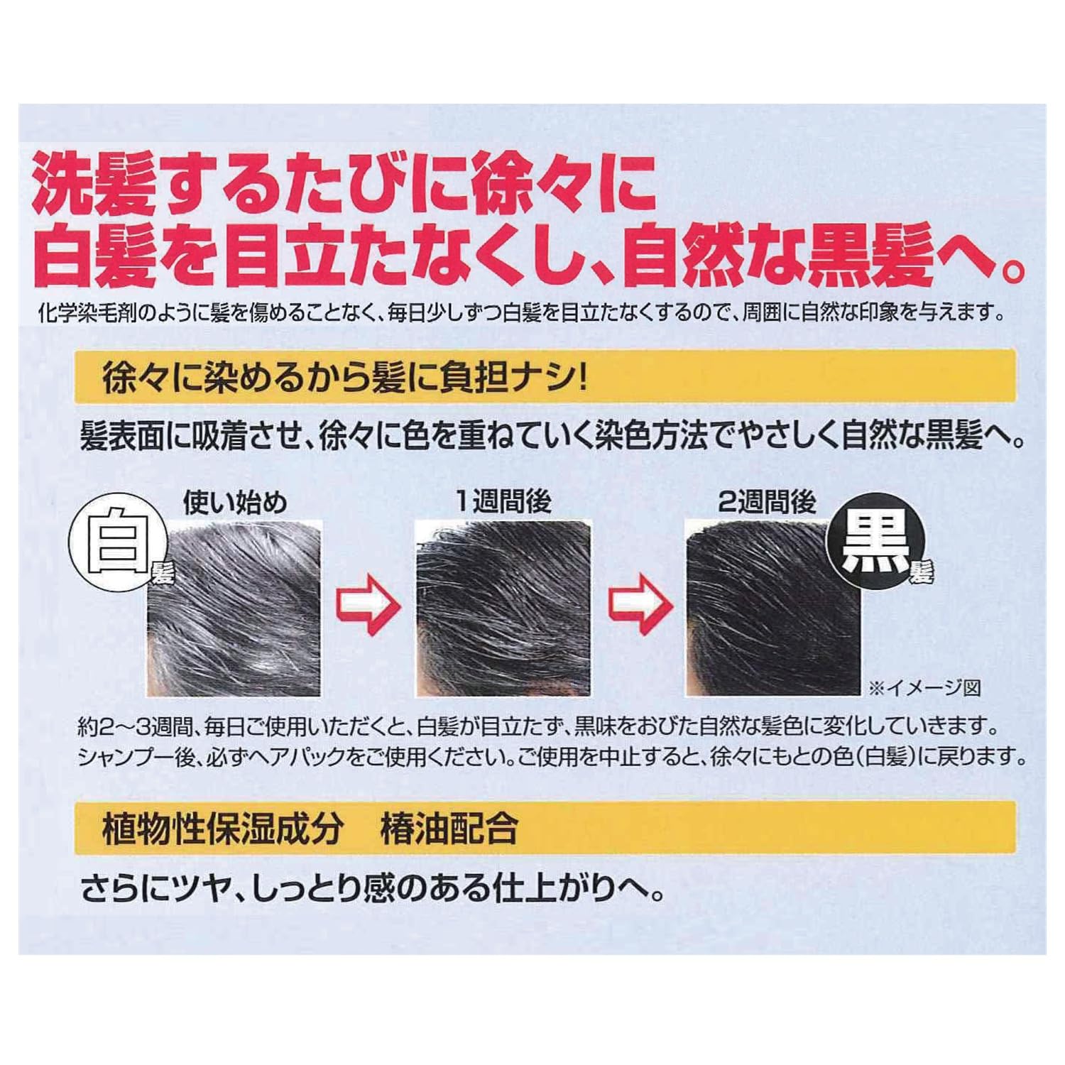 黒染シャンプー500ml