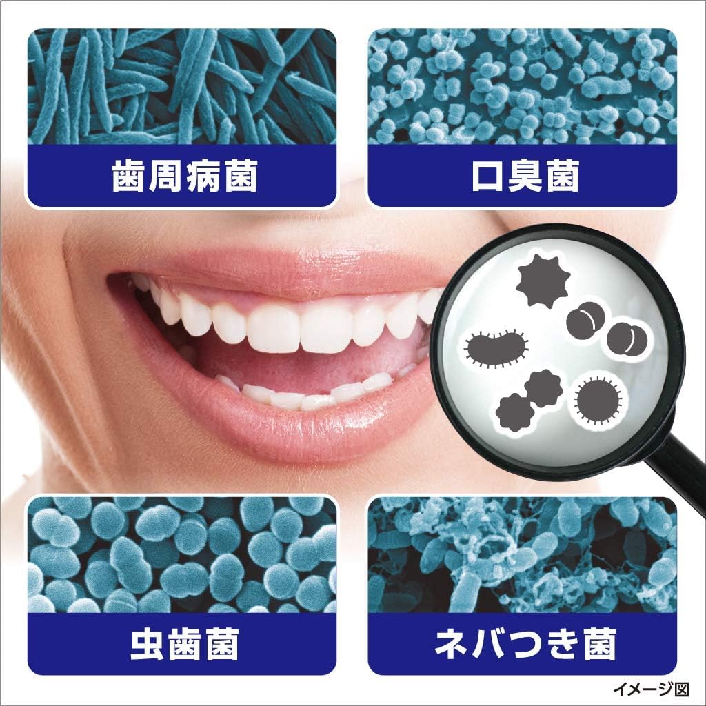 Zerola Strong Mint Periodontal disease, tooth decay, and bad breath prevention 90g