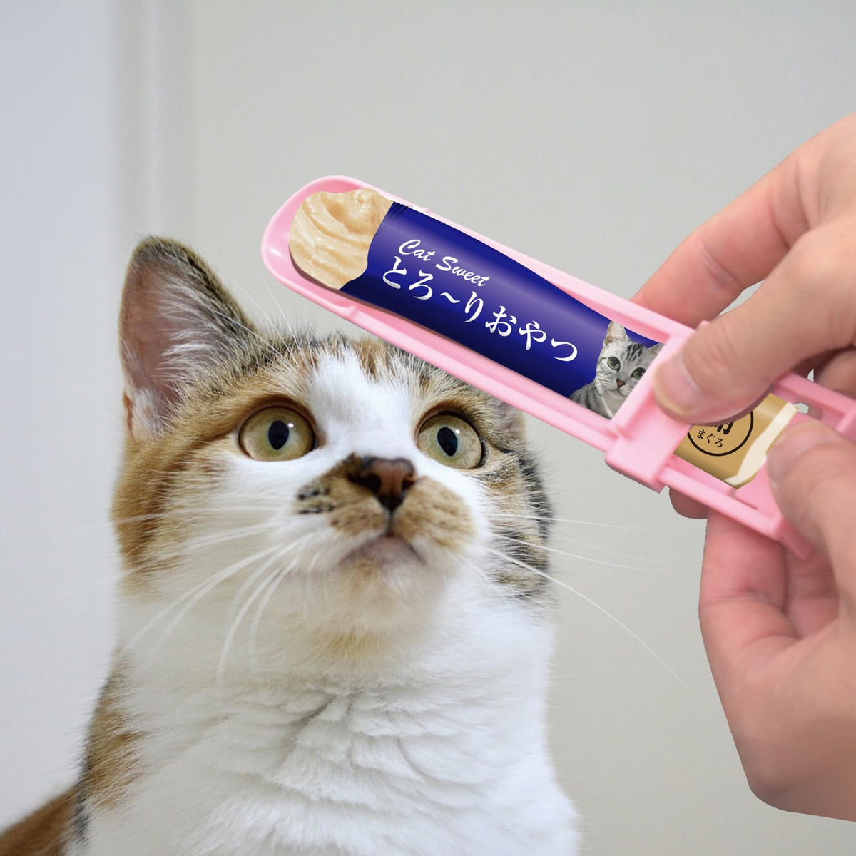 KOKUBO しぼってスプーン 犬猫用 液状おやつ用 BPAフリー 日本製 KM-468