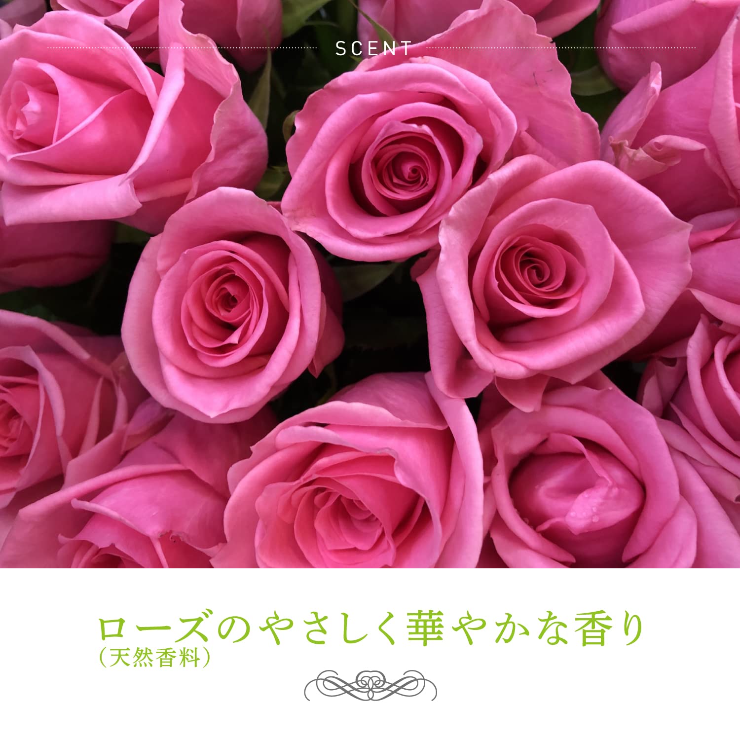 PAX NATURON (팩스 내츄론) 팩스 내츄론 트리트먼트 180g (헤어 케어 린스 자연파) 1개
