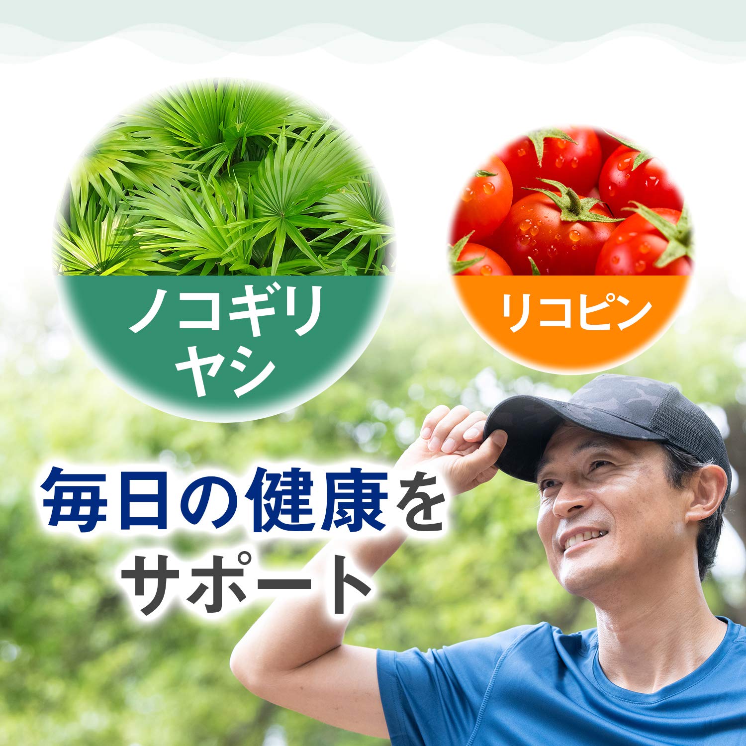 디아나츄라 톱 야자 120알 (60일분) 아사히 사프리 Dear-Natura 국내 공장에서 생산 1일 2알 기준