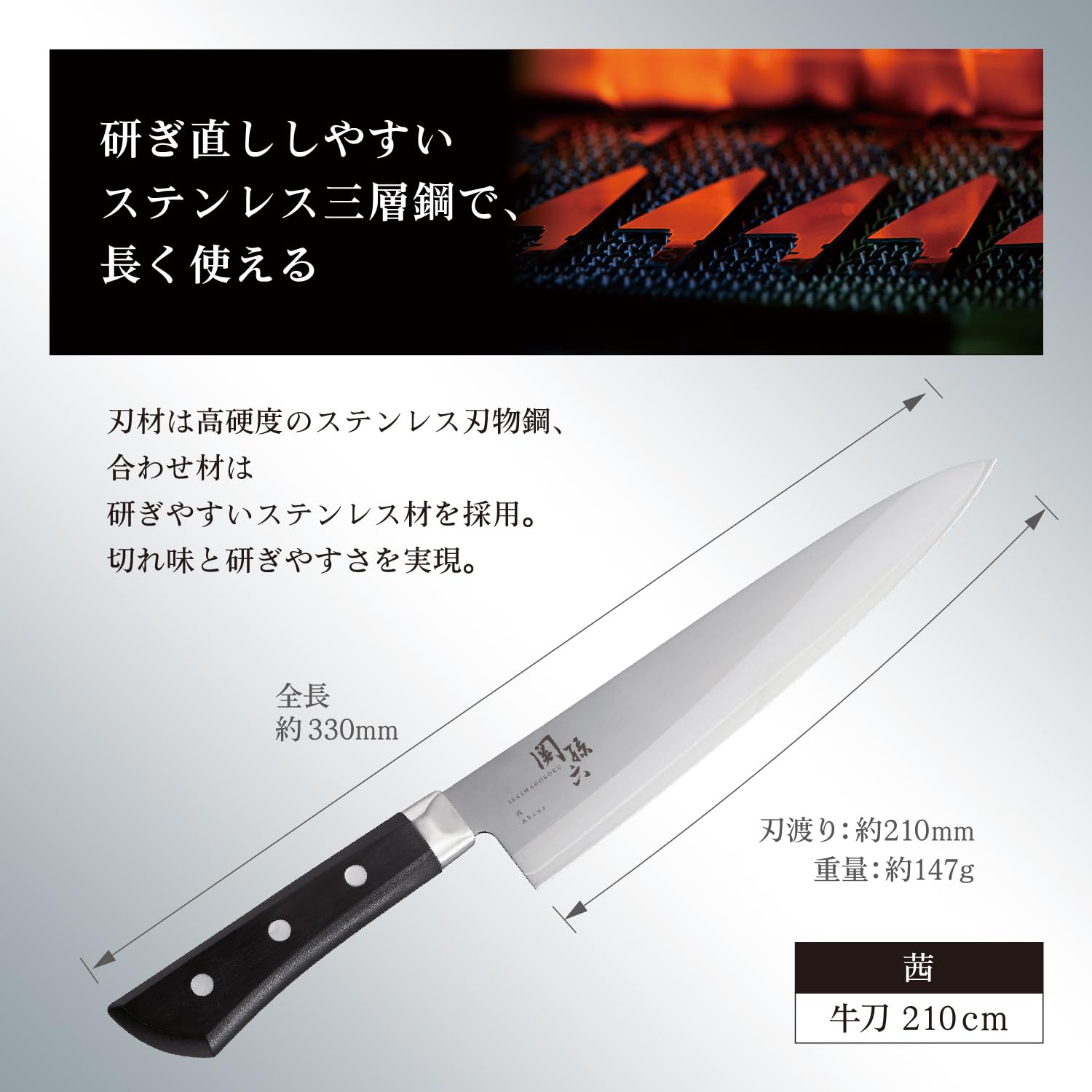 Kai Seki Magoroku Seki Knife Seki Magoroku Akane Gyuto 210mm AE2908