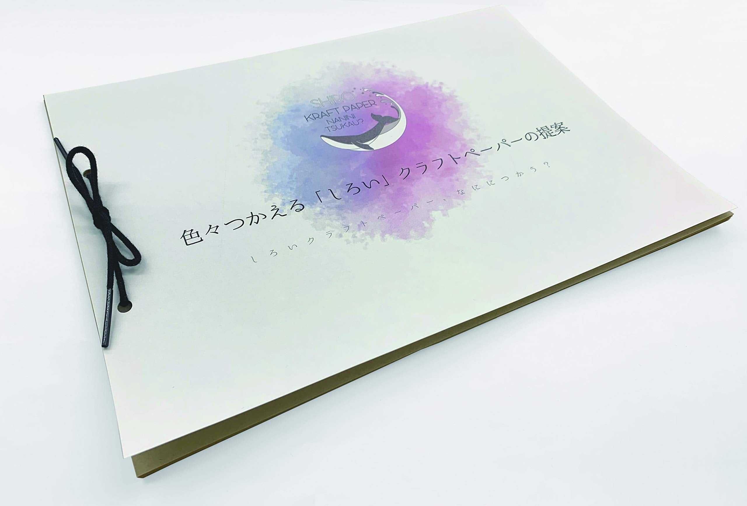 Nagatoya Shoten Craft Paper White Bleached A3 Medium Thick 100 Sheets Na-693 03: White