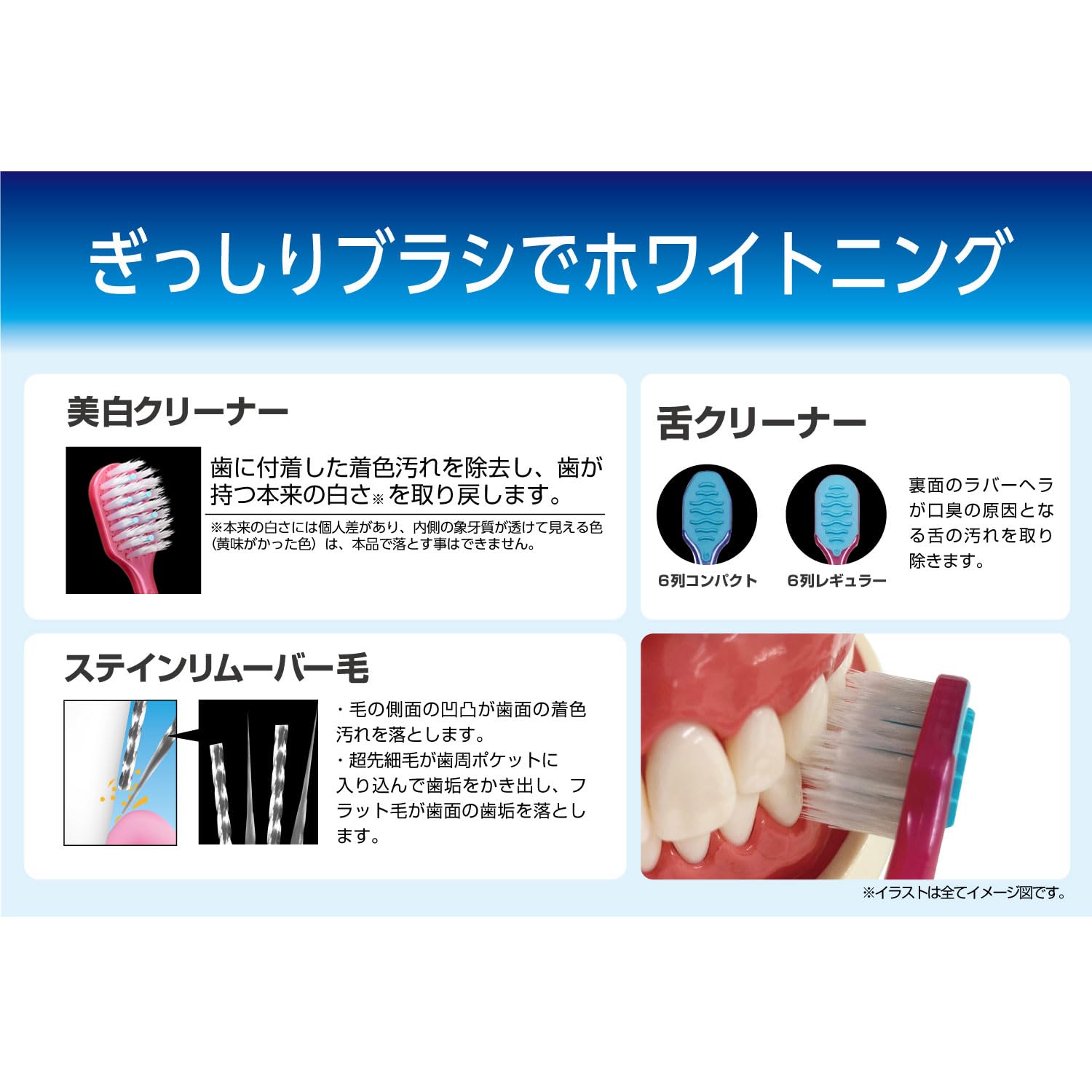 Ebisu Premium Care Teeth Whitening/6-row Regular Regular