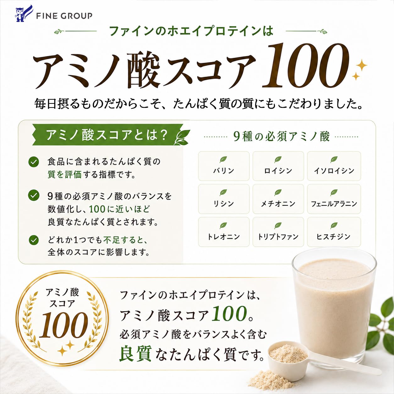 파인 (FINE JAPAN) 파인 프로 유청 단백질 100 초콜릿 맛 아미노산 스코어 100 국내 생산 1012g