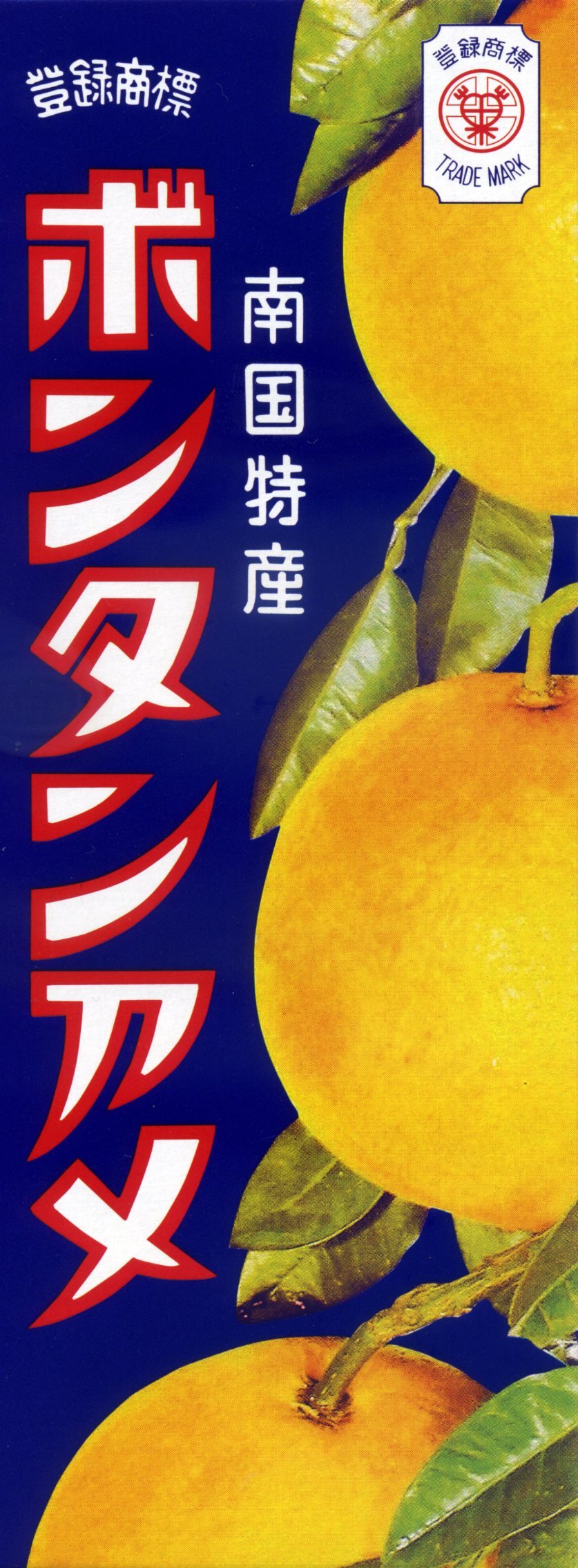 セイカ食品 ボンタンアメ(8粒×4個詰)×5箱