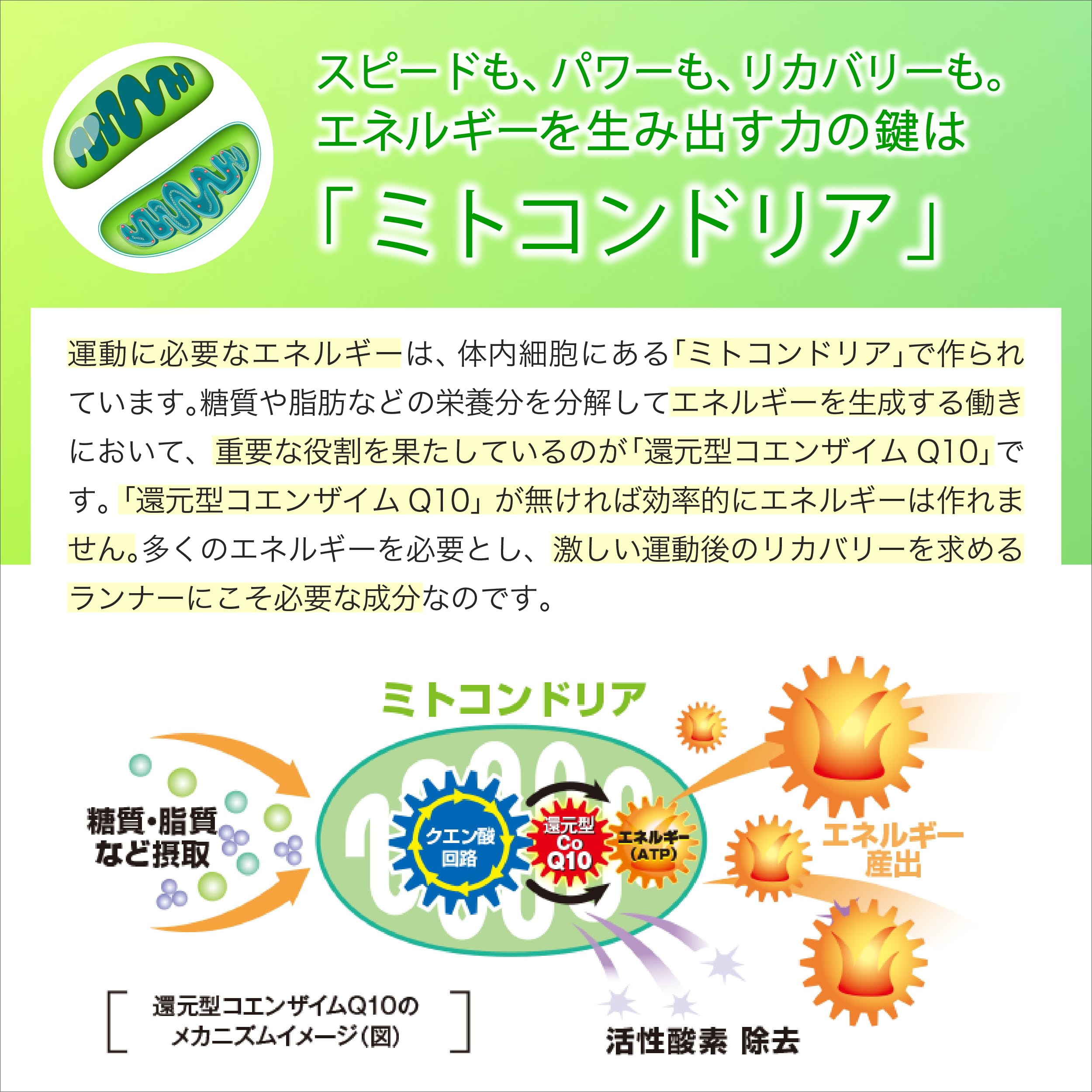 ATHLETE Q10 HIGH-ENERGY GEL (6 pieces) Made by Kaneka, using reduced coenzyme Q10