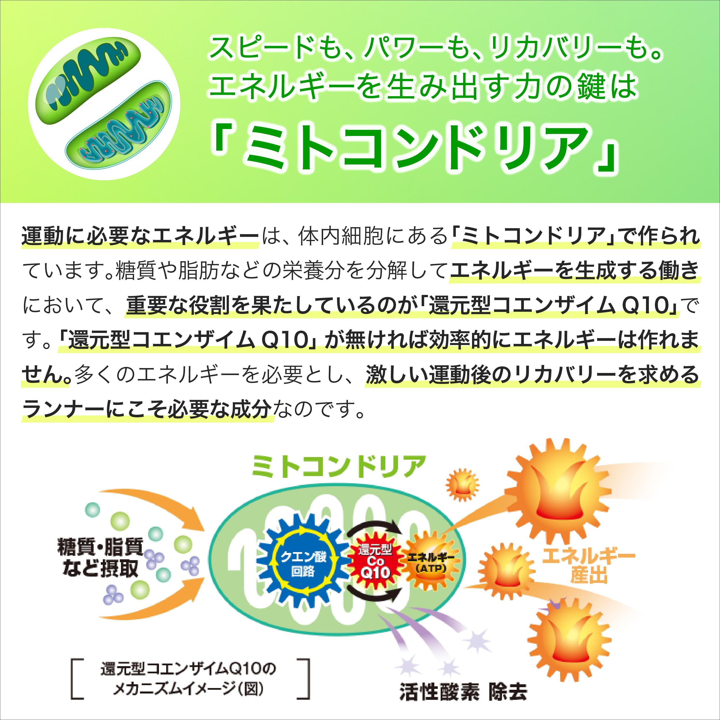 ATHLETE Q10 30粒入り